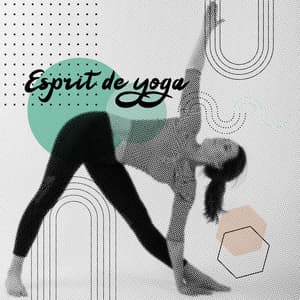 Esprit de yoga: Musique de relaxation, Endormissement, Anti-stress, Musique de méditation - Zone de Méditation Spirituelle