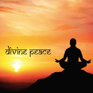 Divine Peace - Mohan Singh
