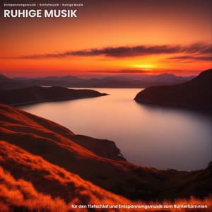 Ruhige Musik für den Tiefschlaf und Entspannungsmusik zum Runterkommen - Entspannungsmusik
