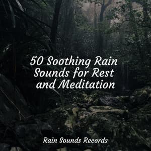 50 Soothing Rain Sounds for Rest and Meditation - Lucid Dreaming Music