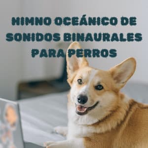 Himno Oceánico De Sonidos Binaurales Para Perros - Binaural late puro