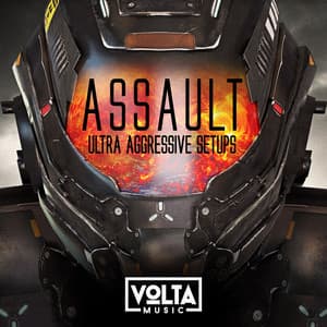 Assault - Raffael Gruber