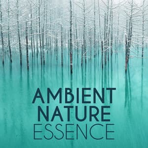 Ambient Nature Essence - Ambient Nature Sounds