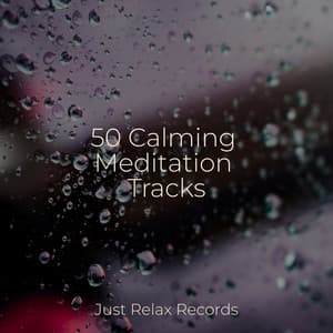 50 Calming Meditation Tracks - Lounge relax