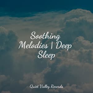 Soothing Melodies | Deep Sleep - Spa Music Collective