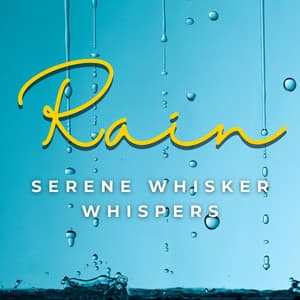 Whiskers and Rain: Feline Serenity - cloudcity