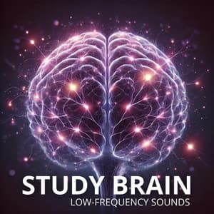 Study Brain: Low-frequency Sounds Designed to Promote Relaxation and Focus - Brain Waves Therapy