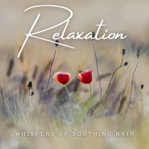 Rainfall Radiance: Ambient Serenity for Relaxation - Calm Rain Sounds