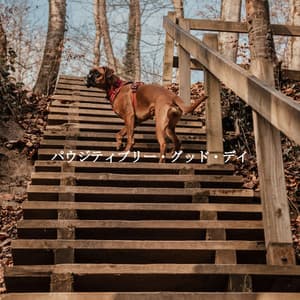 パウジティブリー・グッド・デイ - Instrumental Study Music