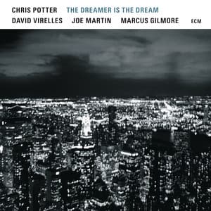 The Dreamer Is The Dream - Chris Potter