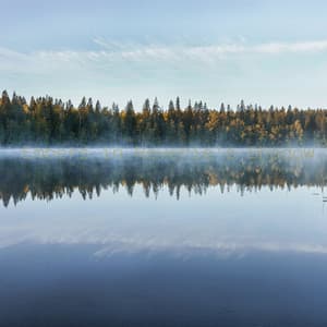 Embers in Reverie's Shadow - Oceara