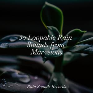 50 Loopable Rain Sounds from Marvelous - Musica Romantica