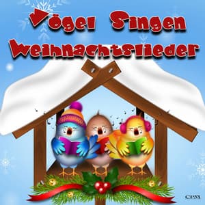 Vögel singen weihnachtslieder - Weihnachtslieder traditionell