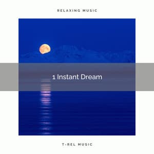 1 Instant Dream - Sleep Repeat
