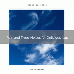 Rain and Trees Noises for Delicious Nap - Calm Sleep Rain Sound