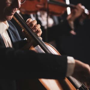 Evening Calm: Orchestra for Meditation - Charles Anderson