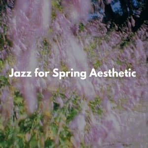 Hit the Road This Spring - Bossa Nova Jazz Lounge