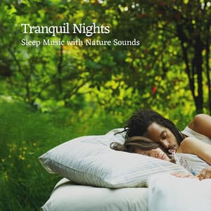 Tranquil Nights: Sleep Music with Nature Sounds - Noise and Nature