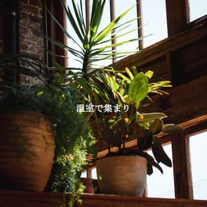 温室で集まり - Alegre Desayuno Jazz