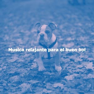 Musica relajante para el buen boi - Essential Dinner Party Background Music