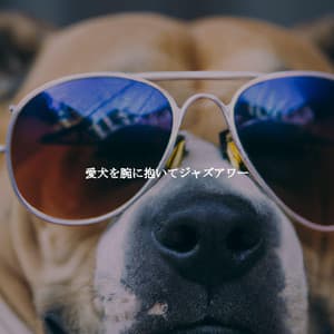 愛犬を腕に抱いてジャズアワー - New Orleans Jazz Playlist