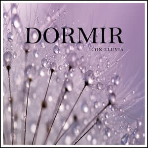 Dormir con Lluvia - Cascada de Lluvia