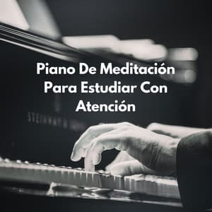 Búsqueda Pacífica: Piano De Meditación Para Estudiar Con Atención - Piano de jazz relajante