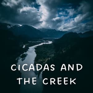 Cicadas and the Creek - Sleep Noise