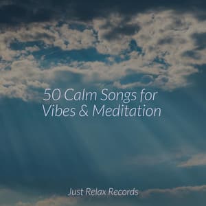 50 Calm Songs for Vibes & Meditation - Musica para Meditar