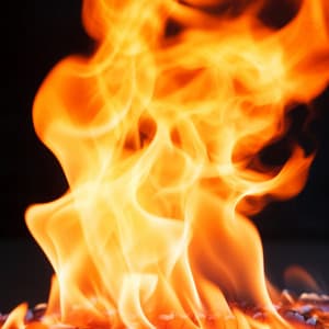 Llamas De Yoga: El Viaje Interior Del Fuego - Perspectiva de la naturaleza