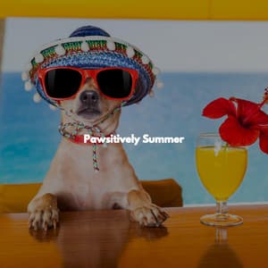 Pawsitively Summer - Bossa Lounge Deluxe