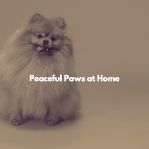 Peaceful Paws at Home - Chilled Jazz Party
