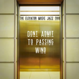 Don't Admit To Passing Wind - The Elevator Music Jazz Trio