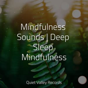 Mindfulness Sounds | Deep Sleep Mindfulness - Nature and Rain