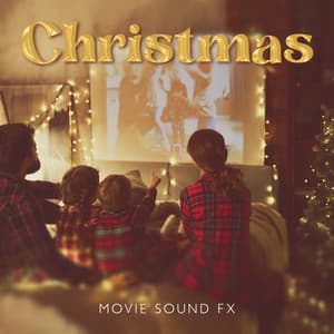 Christmas Movie Sound Fx - The Lost Director