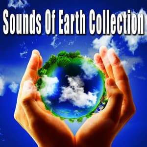 Sounds of Earth Collection - Nature Soundscapes