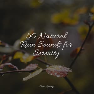 50 Natural Rain Sounds for Serenity - Deep Sleep Music Academy