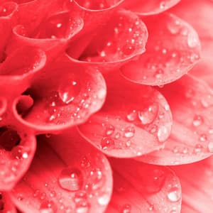 Mind-blowing Music for Loafing Evening - Jazz Quartet - Easy Dinner Music