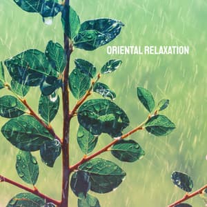 Oriental Relaxation - Relaxing Mindfulness Meditation Relaxation Maestro