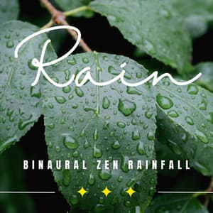 Zen Rainfall Harmony: Binaural Soundscapes - Rain Radiance