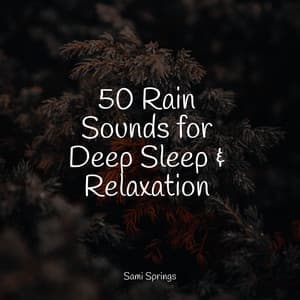 50 Rain Sounds for Deep Sleep & Relaxation - White Noise Nature Sounds Baby Sleep