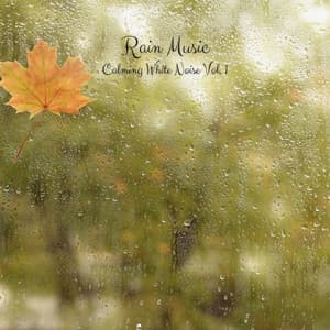 Rain Music: Calming White Noise Vol. 1 - Gentle Rain Makers
