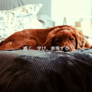 感じ、学び、表現する - Modern Jazz Playlist