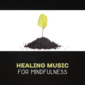 Healing Music for Mindfulness – Meditation for Beginners, Yoga Music, Mindfulness Training, Calm Relaxation, Peaceful Moments, Clear Your Mind - Zen Mental Relax Sanctuary