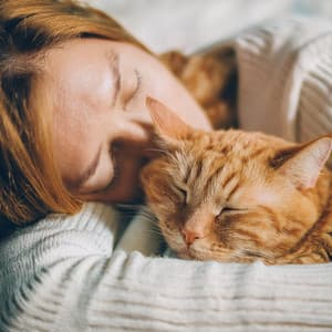 Relajación Para Gatos: Música De Guitarra Para Felinos - Guitarras Venturosas