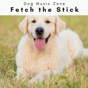 2 0 2 3 Fetch the Stick - Dog Music Zone