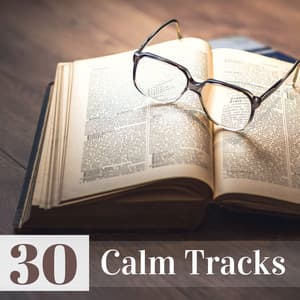 30 Calm Tracks - Natural Zen Songs to Improve Concentration & Logical Thinking - Calm Nerves