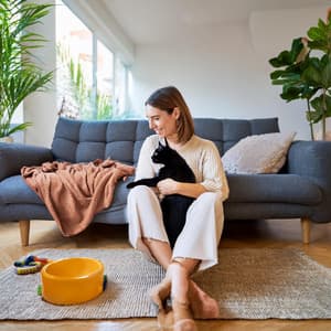 Melodías De Ronroneo: Sonidos Relajantes Para Gatos Serenos - Barba de calma