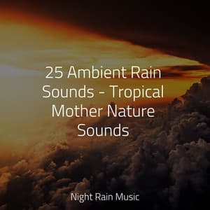 25 Ambient Rain Sounds - Tropical Mother Nature Sounds - Asian Zen Spa Music Meditation