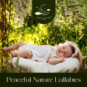 Peaceful Nature Lullabies: The Most Delicate Melodies for Sweet Sleep of a Baby - Baby Lullaby Academy